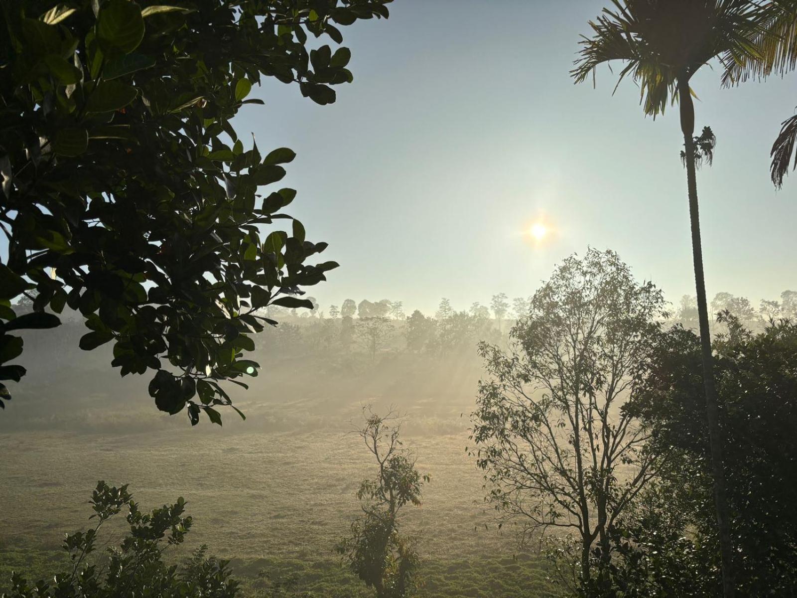 Lotus Jewel Forest Camping Sultan Bathery Buitenkant foto